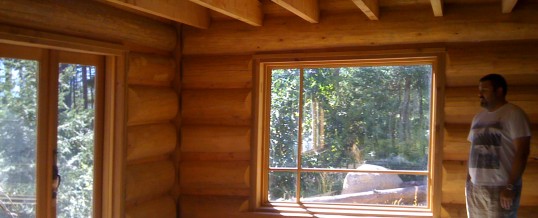 Bright Timberlock Interior