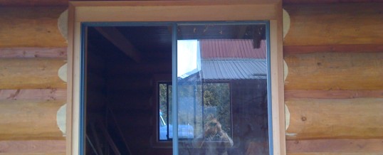 Timberlock Exterior Windows