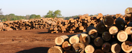 Watch the Timberlock Video